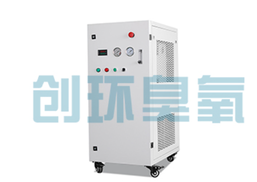 临汾石斑鱼养殖水质调控完整指南:臭氧发生器配置与操作步骤