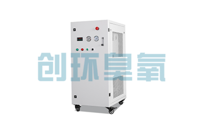 临汾比传统换水更高效?臭氧发生器在石斑鱼养殖中的水质净化原理解析