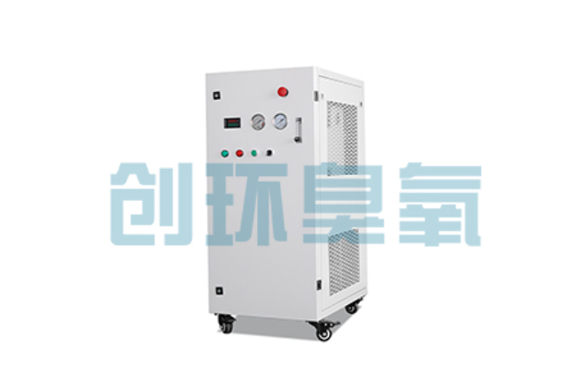 临汾比传统换水更高效？臭氧发生器在石斑鱼养殖中的水质净化原理解析